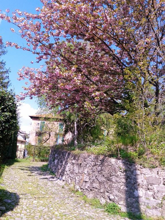 La Ca Del Menec Apartment Lierna Bagian luar foto